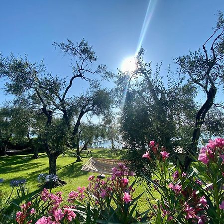 Villa Schindler Manerba del Garda Ngoại thất bức ảnh