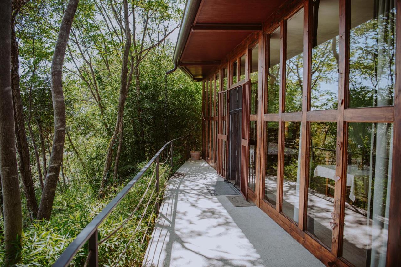 Villa Schindler Manerba del Garda Ngoại thất bức ảnh