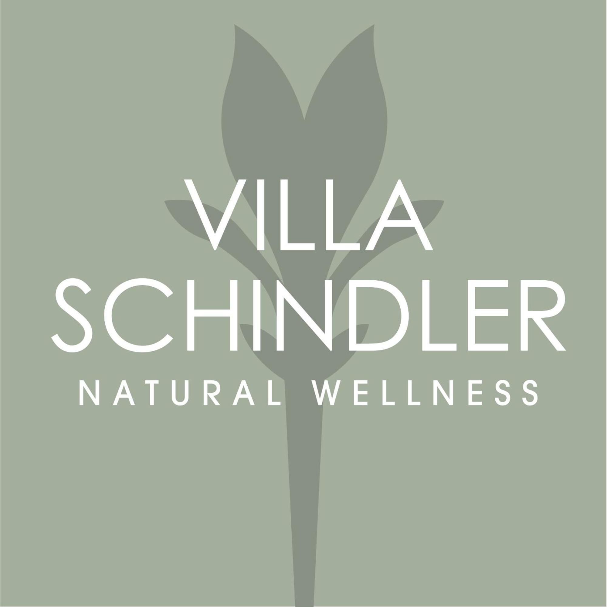 Villa Schindler Manerba del Garda Ngoại thất bức ảnh